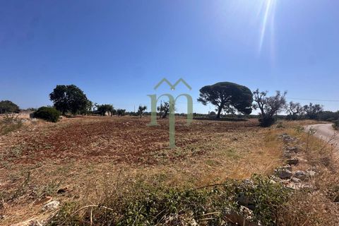 Ruïna a Carovigno, Brindisi, Carovigno - € 225.000 | Ref: Casolare e Trul - foto 4